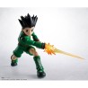 APARTADO PREVENTA S.H.Figuarts Gon