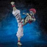 APARTADO PREVENTA Bandai S.H.Figuarts Akaza