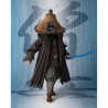 Meisho Movie Realization Sohei Obi-Wan Kenobi
